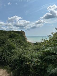 The coastline quickly becomes dramatic to the east of Hastings